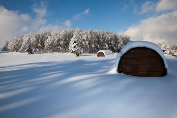 Rimesse di montagna e bosco innevati