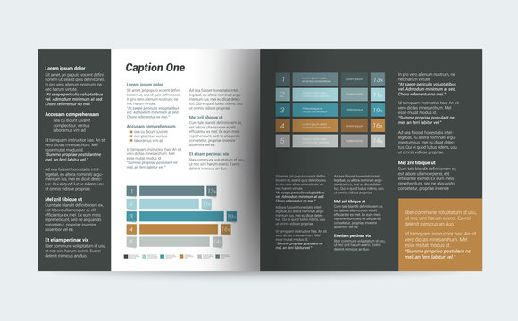 Brochure design. Magazine layout for infographics.