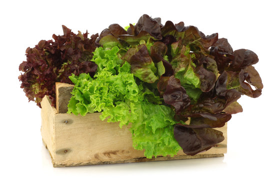 assorted lettuce in a wooden box on a white background