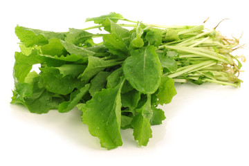 fresh turnip tops (turnip greens) on a white background