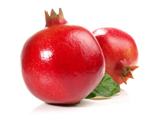 Granatapfel