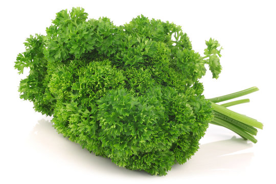 Bundle of fresh parsley on a white background