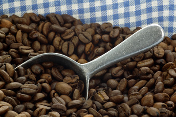 coffee beans in a basket with an aluminum scoop