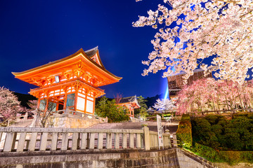Fototapeta premium Noc wiosny w Kioto w Japonii