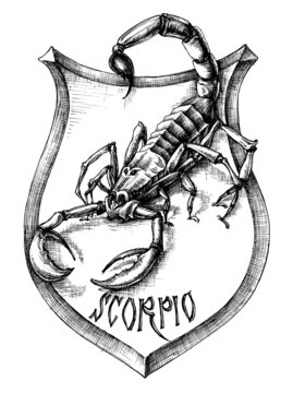 Scorpion heraldry scorpio zodiacal sign