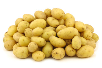 bunch of dutch seed potatoes (krieltjes) on a white background