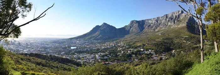 Foto op Aluminium View of Cape Town © lenisecalleja