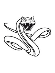 Snake cool dangerous