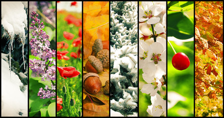 Four seasons collage: winter, spring, summer, autumn