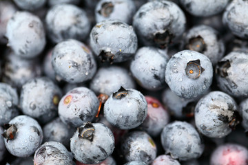 Blueberries