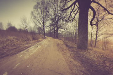 sandy rural road in winter time