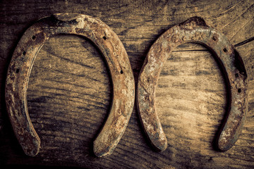 horseshoes