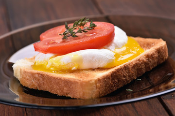 Bread toasted with poached egg and tomato slice