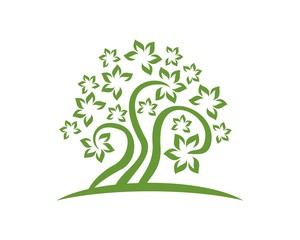 Tree v.1