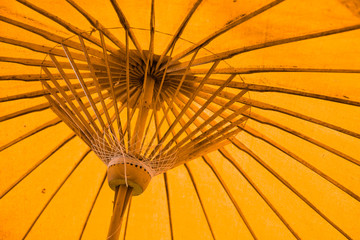 Yellow umbrella structure pattern