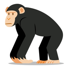 Obraz premium Cartoon Chimp Isolated On Blank Background