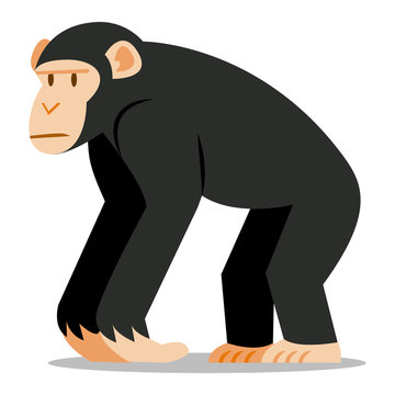 Chimpanzee Cartoon Images – Parcourir 32,082 le catalogue de photos, vecteurs et vidéos | Adobe Stock Chimpanzee Cartoon Images – Parcourir 32,082 le catalogue de photos, vecteurs et vidéos | Adobe Stock