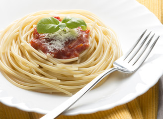 dish with spaghetti and tomato sauce