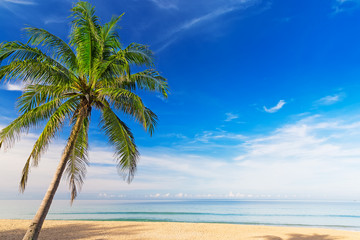 Obraz na płótnie Canvas Tropical Beach Paradise