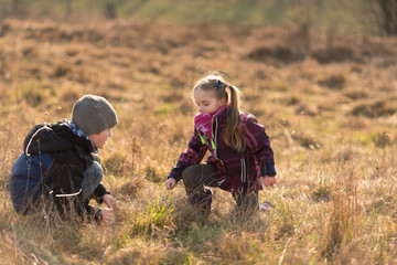 Two little children playing together on a meadow