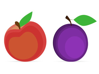 plum and peach on a white background