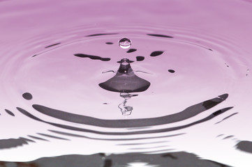 Goutte mauve