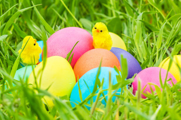 Fototapeta na wymiar Toy chicks on Easter eggs in the grass