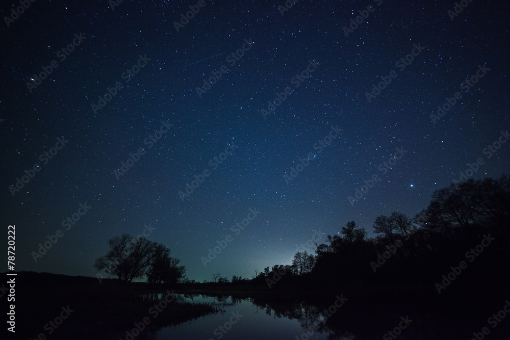 Wall mural a beautiful night sky, the milky way and the trees