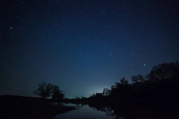 Foto op Aluminium een prachtige nachtelijke hemel, de Melkweg en de bomen © snike