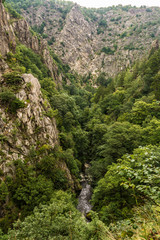 Blick ins Bodetal, Harz