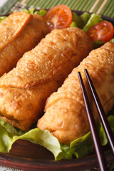 spring rolls fried on a plate macro with lettuce and tomatoes