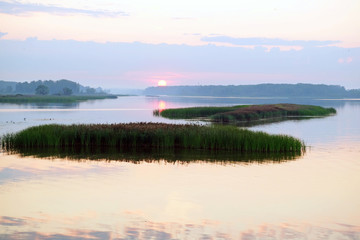 panorama of the morning mist on the lake in the woods