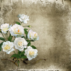 Vintage shabby background with white roses
