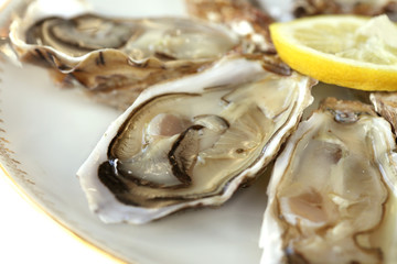 Huîtres
