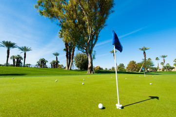 Obraz premium Putting green with many balls and flag