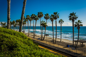 View of railroad tracks and palm trees along the beach in San Cl