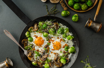 Vegetable omelet with bulls eye egg and sprouts