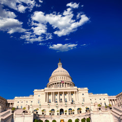 Obraz premium Capitol building Washington DC sunlight day US