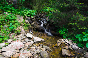 Small mountain stream