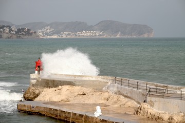 Alicante