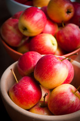 red apples isolated on white