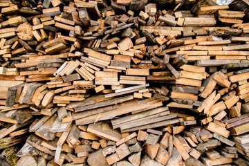 Firewood. Different kinds of wood