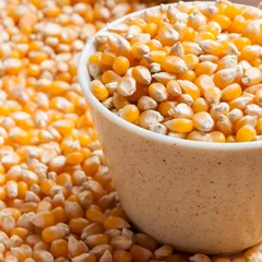 Deurstickers Bulk of corn grains © amawasri