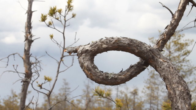 Wonderful knot in  node tree