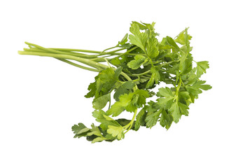 parsley isolated on white background