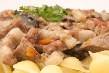Ragout mit Obazter-Sauce und Pasta