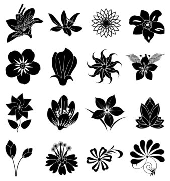 flower silhouette icons set