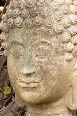 Fototapeta na wymiar Ancient Head Buddha statue in Chiang Mai