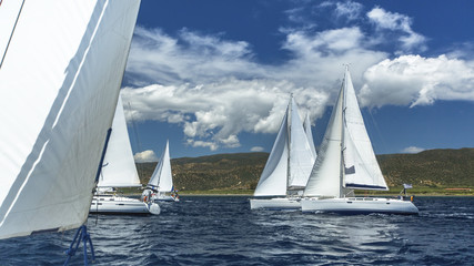 Fototapeta premium Sailboats participate in sailing regatta on the Sea. Sailing.