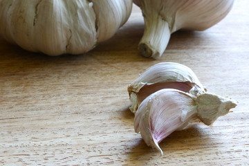 Garlic